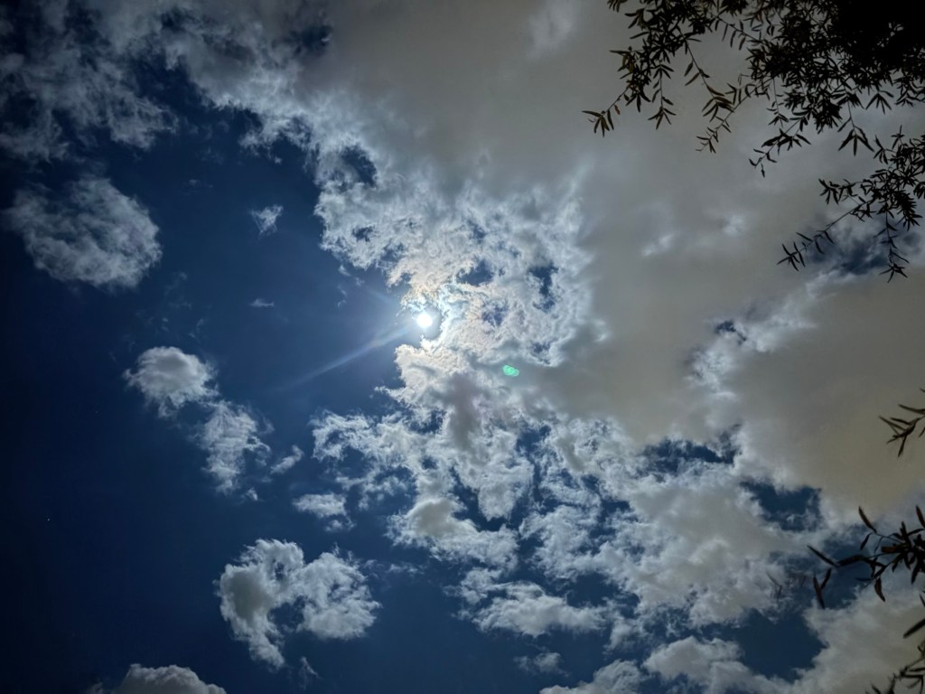 Full moon in the Fall, Loudoun&nbsp;County